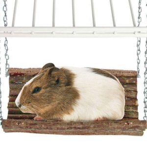 Karlie RODY SWING Nagerschaukel - S