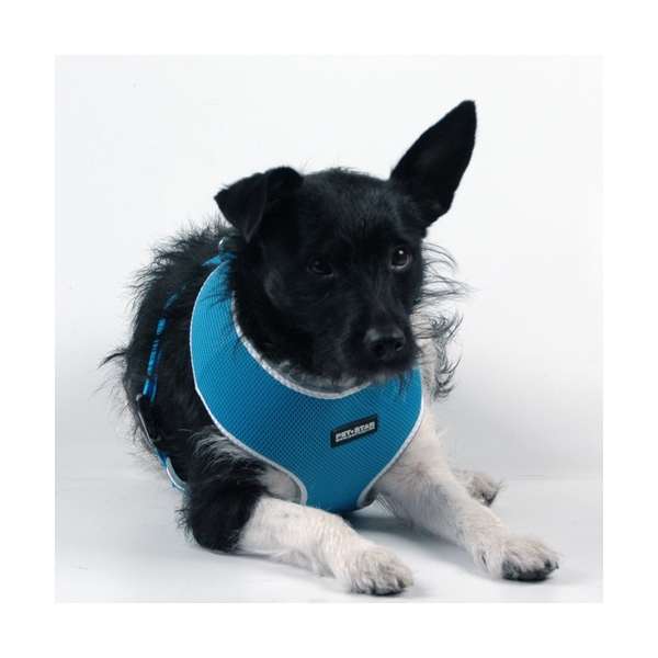 Pet-Star Softgeschirr / Netzgeschirr - Blau - XL – Bild 3